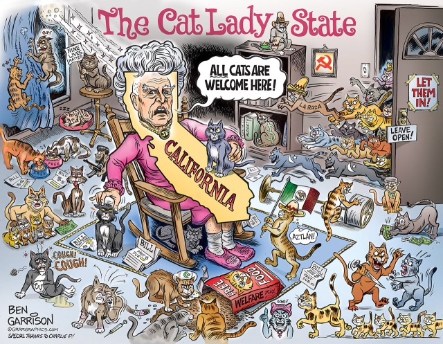 cat_lady_state_ben_garrison